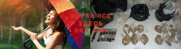 соль курить ск Каменка