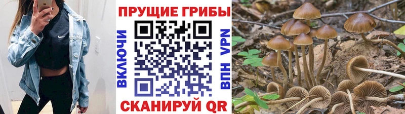 Галлюциногенные грибы GOLDEN TEACHER  Купить  Острогожск 
